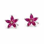 Daisy Stud on a white background