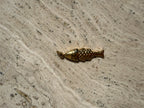 Fish Charm
